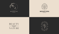 Shopify Store Design, Google Ads, Graphic Design, & Logo Design Expert