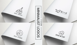 Shopify Store Design, Google Ads, Graphic Design, & Logo Design Expert