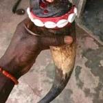 The Best Powerful Spiritual Herbalist In Nigeria +2348055664179