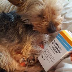 Oramorph for sale in uk , Buy Oramorph Without Prescription in uk Euro