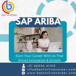 Online SAP Ariba training from Best Online Career