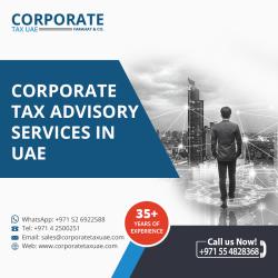 Forensic Auditing Services in UAE